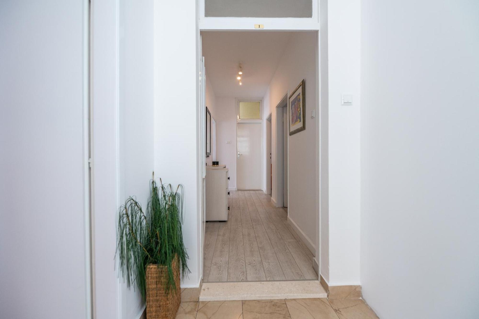 Apartments Sokol Makarska Dış mekan fotoğraf