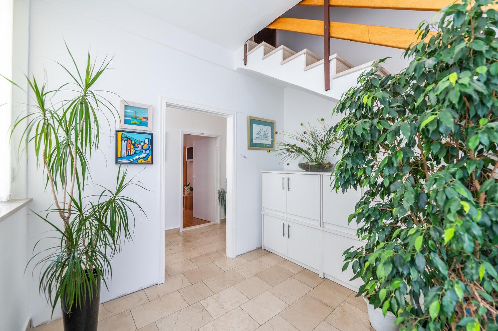 Apartments Sokol Makarska Dış mekan fotoğraf