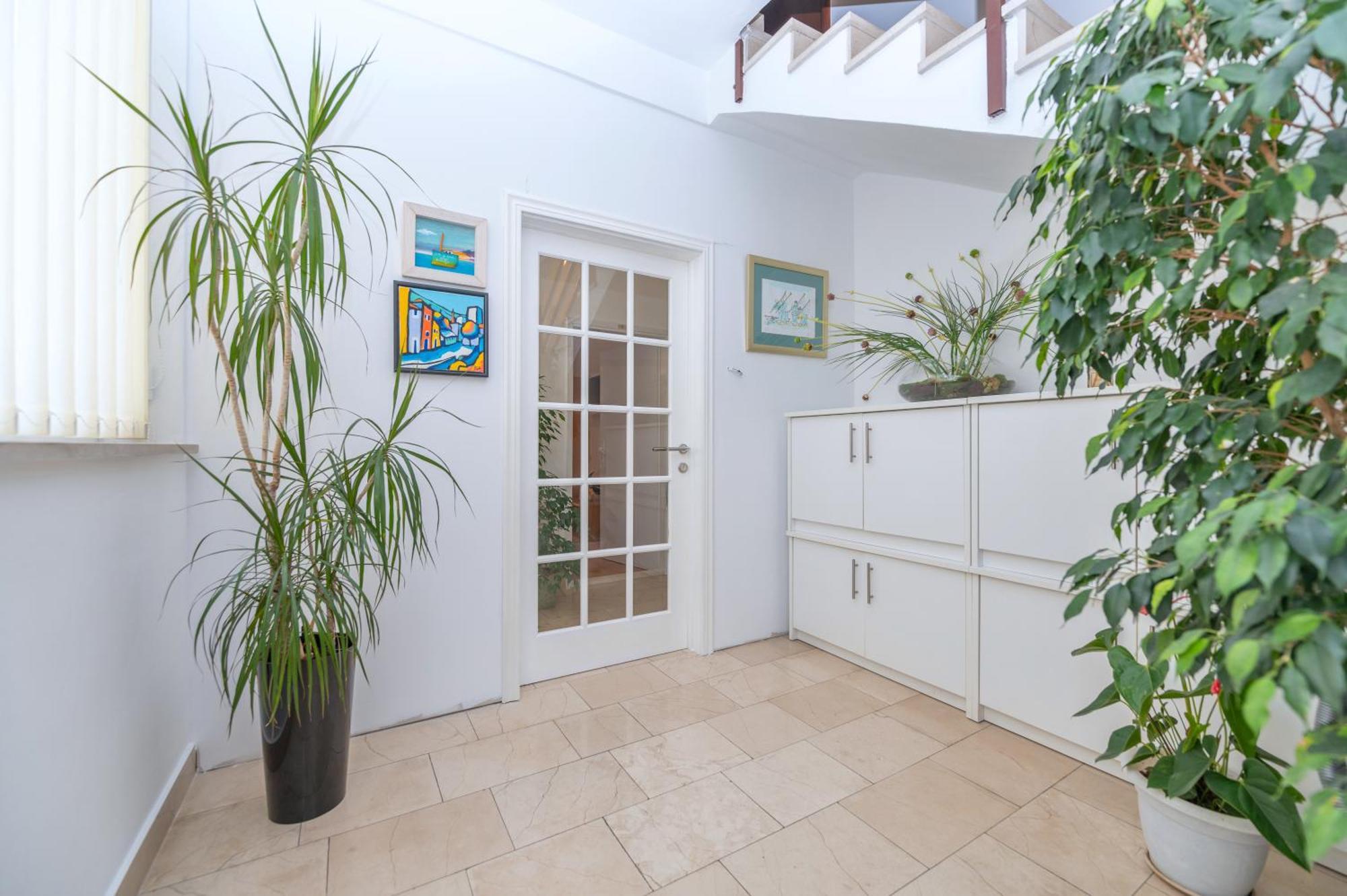 Apartments Sokol Makarska Dış mekan fotoğraf